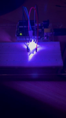 MS_Mayline_PM4_Vidéo_Arduino.mp4