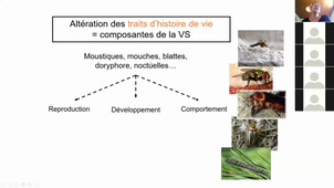 Cours 2 L. Despres Penser la crise écologique 4 mars