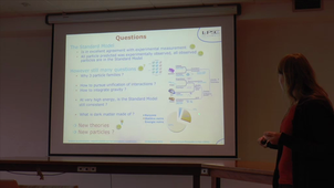 Monte-Carlo simulations in particle physics