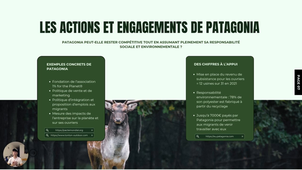 VAN PUYMBROECK - GANACHAUD - PAILLET - DE MARCO SOCIO.mp4