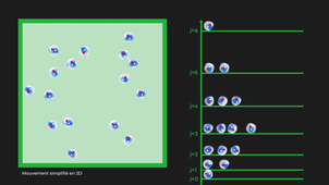 Vert-observer