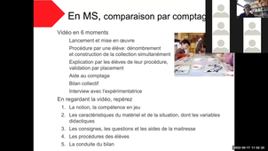 Master MEEF Cours zoom SSL Le nombre au cycle 1