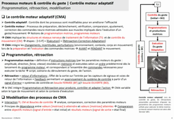 CN3_CM - Processus de contrôle moteur