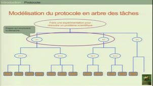 Comment donner du sens aux activités expérimentales ?