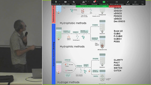 PICGIN : Transparisation et microscope lightsheet