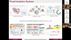 Estime : Un framework de visualisation pour l'aide à l'analyse de la mobilité quoitidienne