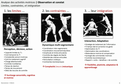 CN4 - Analyse de l'activité motrice