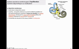 CN Systèmes sensoriels et motricité - Equilibration