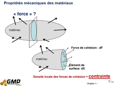 SDM S1 Chapitre 1, tout