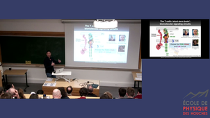 2026_01_20_16_16_Arvind Murugan, Thomas Miconi, Barak Raveh