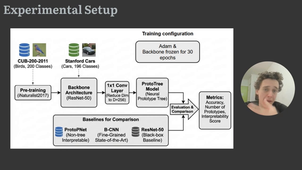 ProtoTreePresentation.mp4