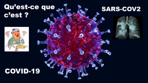 Point Covid-19 - RADAFSHAR - TICE en santé