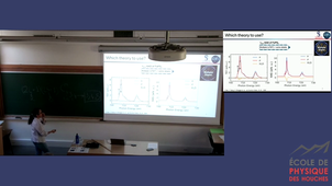 2025_09_19_08_57_Elnaggar XAS-RIXS Theory-1