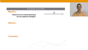 Bases de l’électrochimie – Partie B – 7