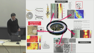 Unravelling structure-function relationships in bone : Why nanoscale matters