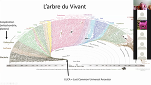 Cours 1 ETC Penser la crise Ecologique L. Després