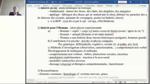 2026 TD Etho 01 OctXX.mp4