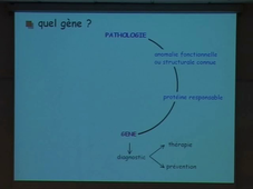 Le diagnostic moléculaire des maladies génétiques (J. Lunardi) - 2