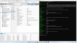VIDEO - DELIVRABLE N° 11: Fonctionnement du script – ARAUJO José